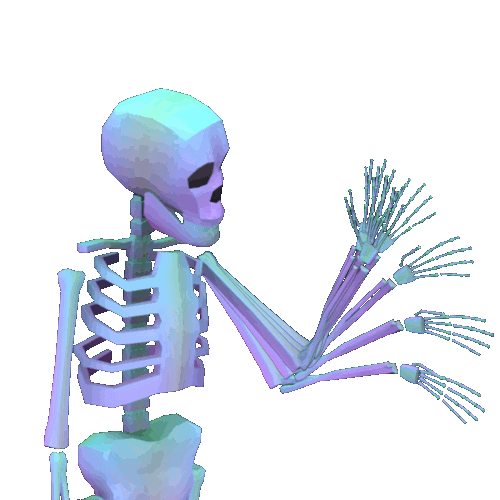 Skeleton